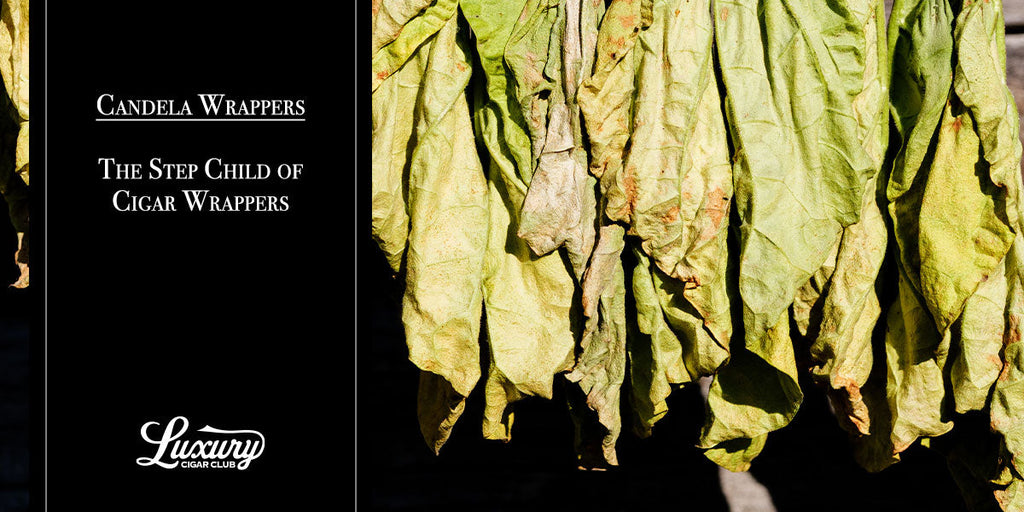Candela Wrappers: The Step Child of Cigar Wrappers
