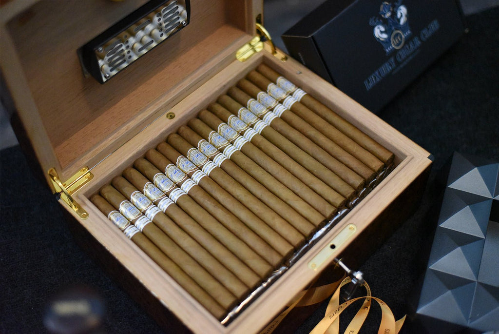 J London Luxury Collection Gold Series Robsuto