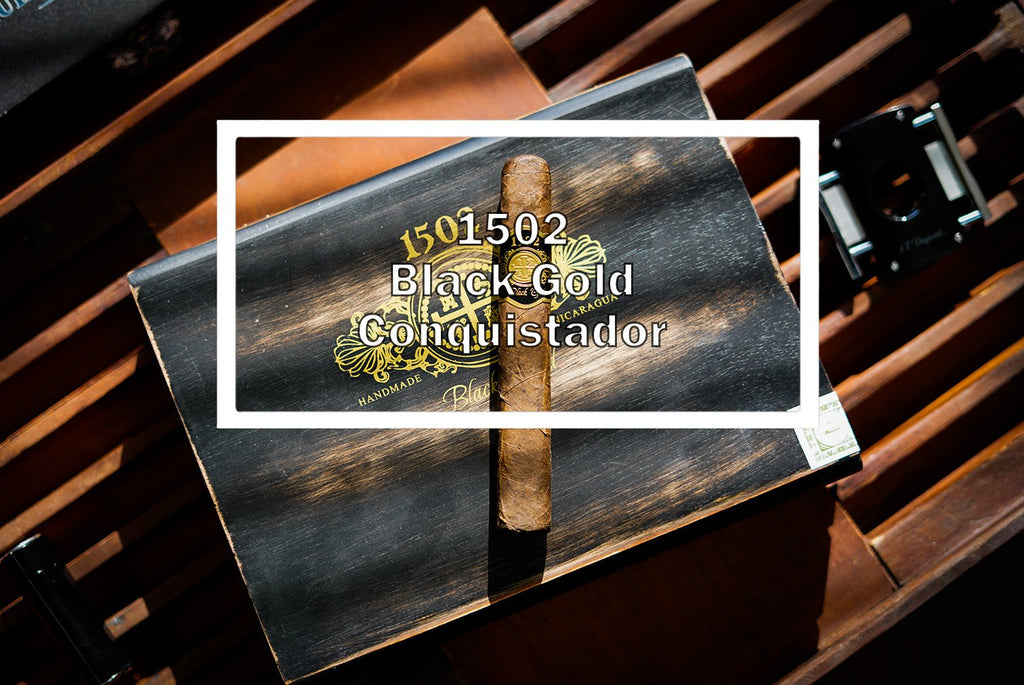 1502 Black Gold Conquistador