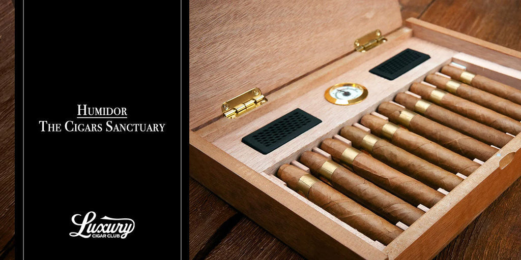 Humidor: The Cigars Sanctuary