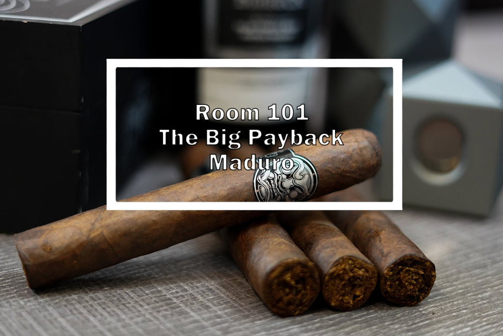 Cigar Review The Big Payback Maduro by Room 101