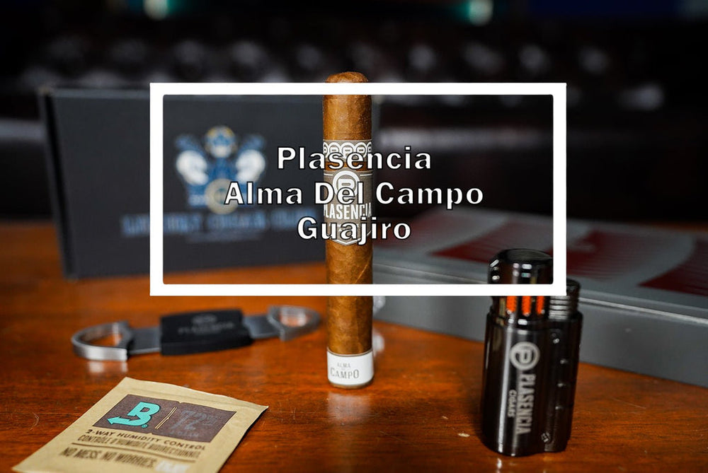 Plasencia Alma Del Campo Guajiro