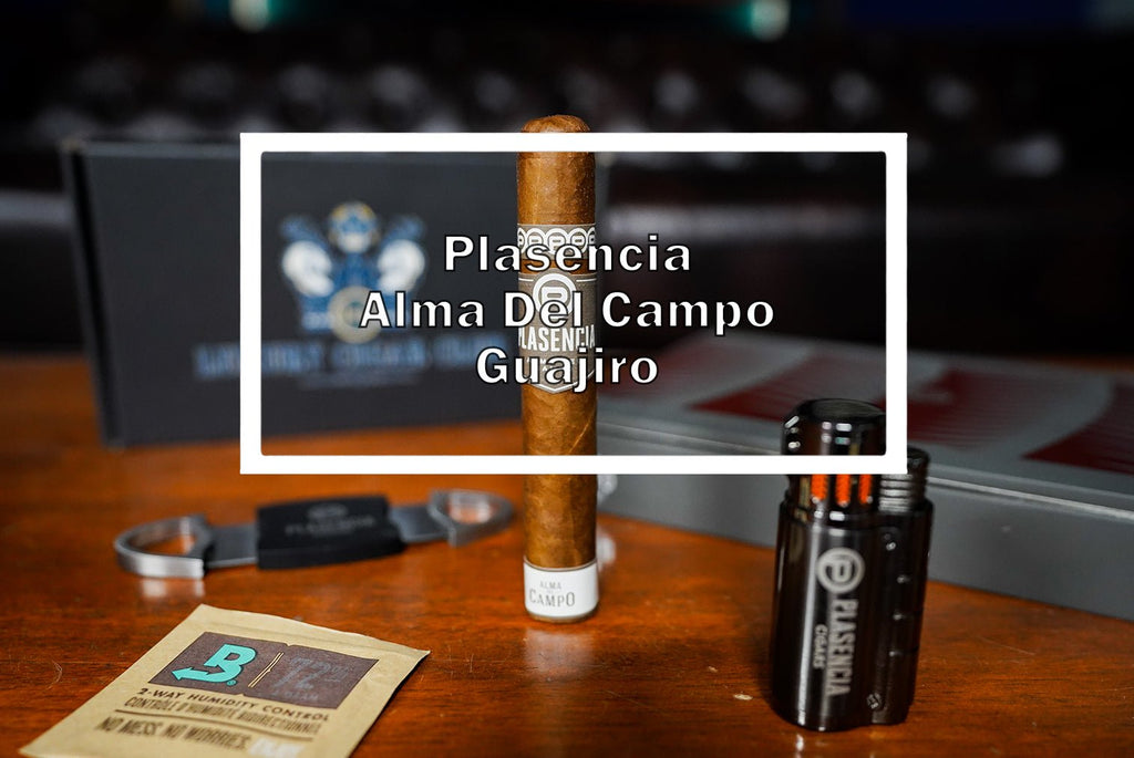 Plasencia Alma Del Campo Guajiro