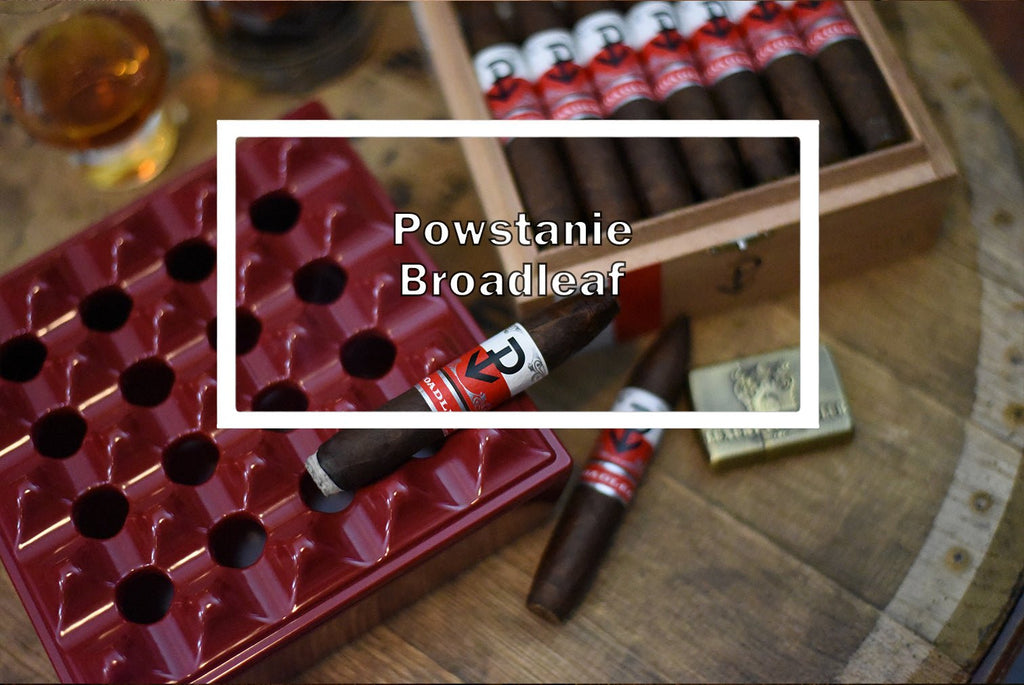 Powstanie Broadleaf Perfecto