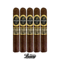 Aganorsa Leaf Rare Leaf Reserve Maduro