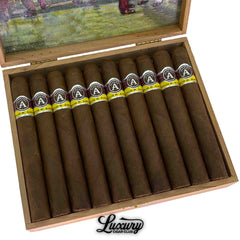 Aladino Corojo