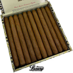 Arturo Fuente Curly Head Natural