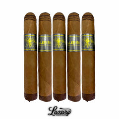 Black Works Studio Killer Bee Connecticut