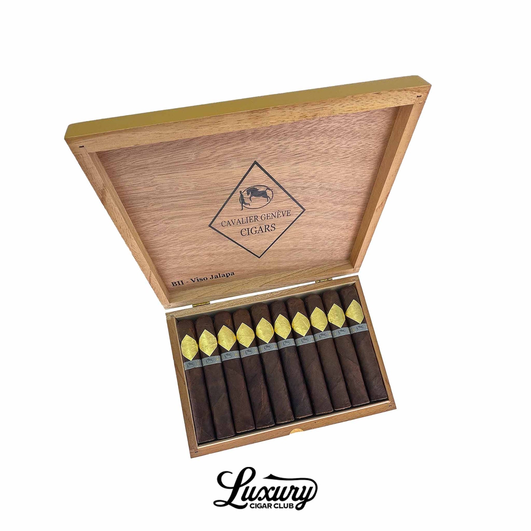 Cavalier Geneve B11 Viso Jalapa