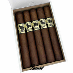 Crowned Heads Juarez