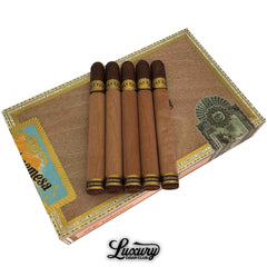 Dunbarton Tobacco & Trust Sobremesa Solita