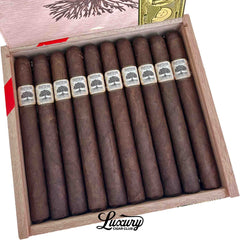 Foundation Charter Oak Broadleaf