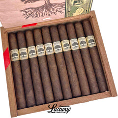 Foundation Charter Oak Broadleaf