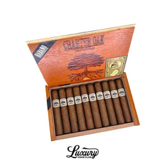 Foundation Charter Oak Habano