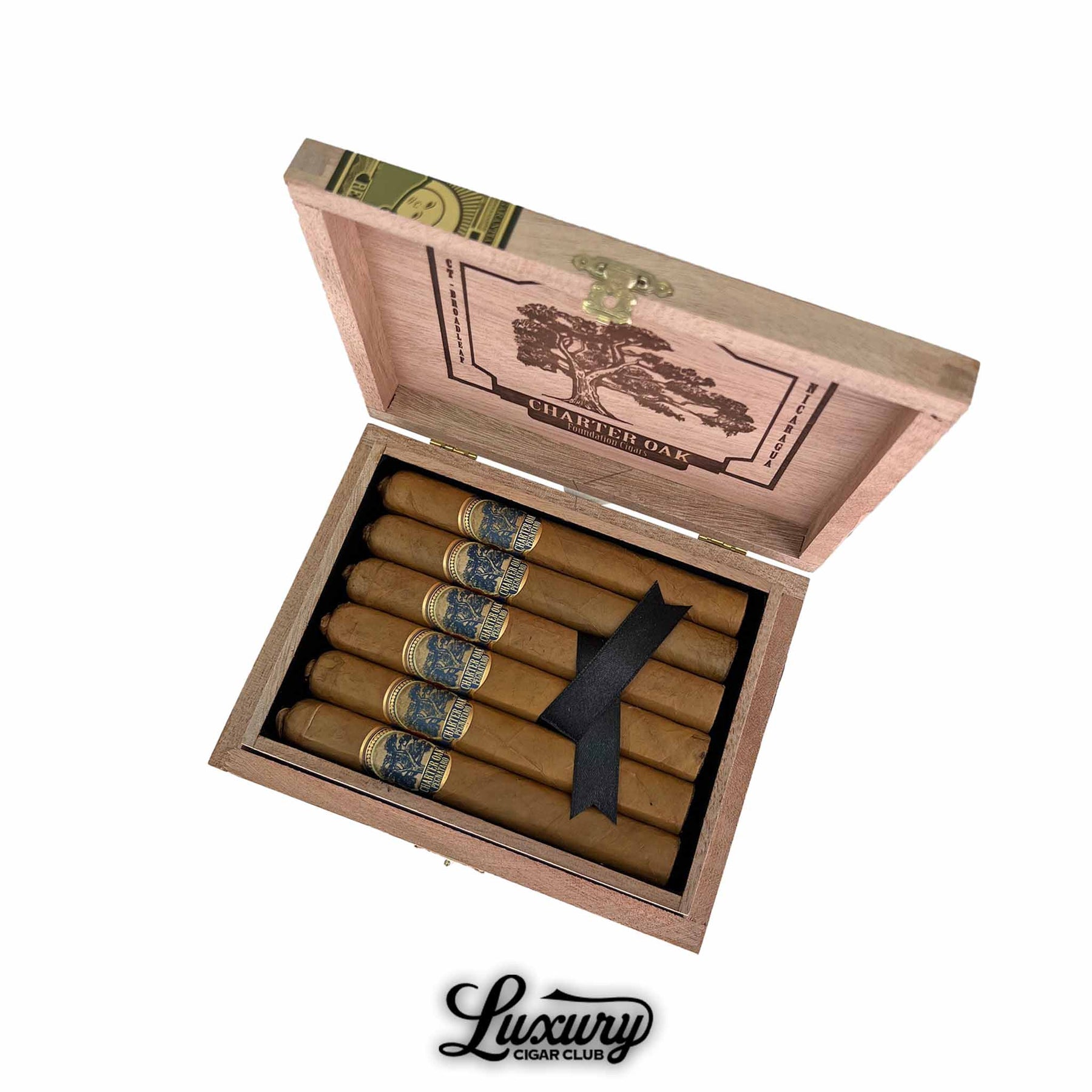 Foundation Charter Oak Pegnataro Limited Edition