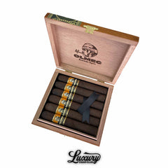 Foundation Olmec Maduro