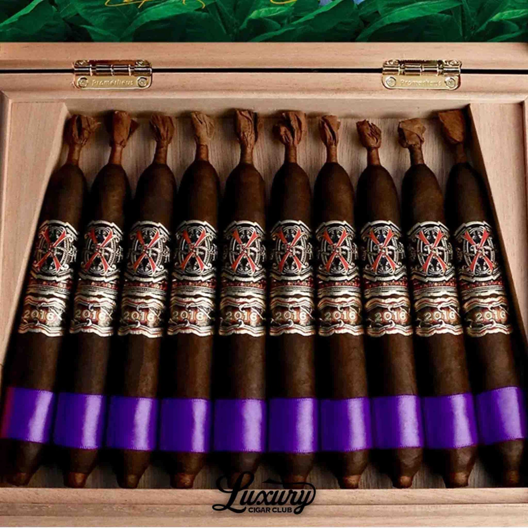 Fuente Fuente OpusX Heaven & Earth BBMF Maduro (Unicorn)