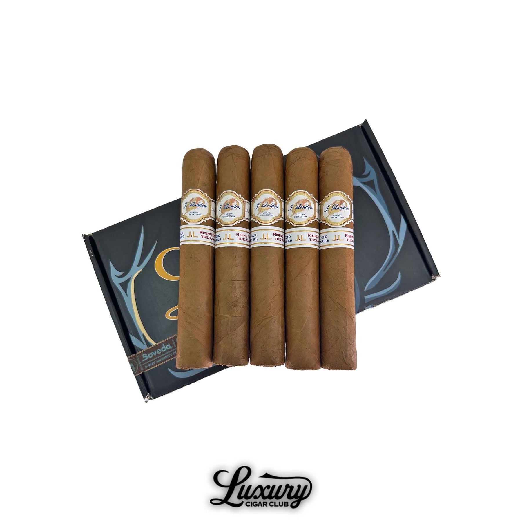 J London Gold Series Gordo Pre-Release