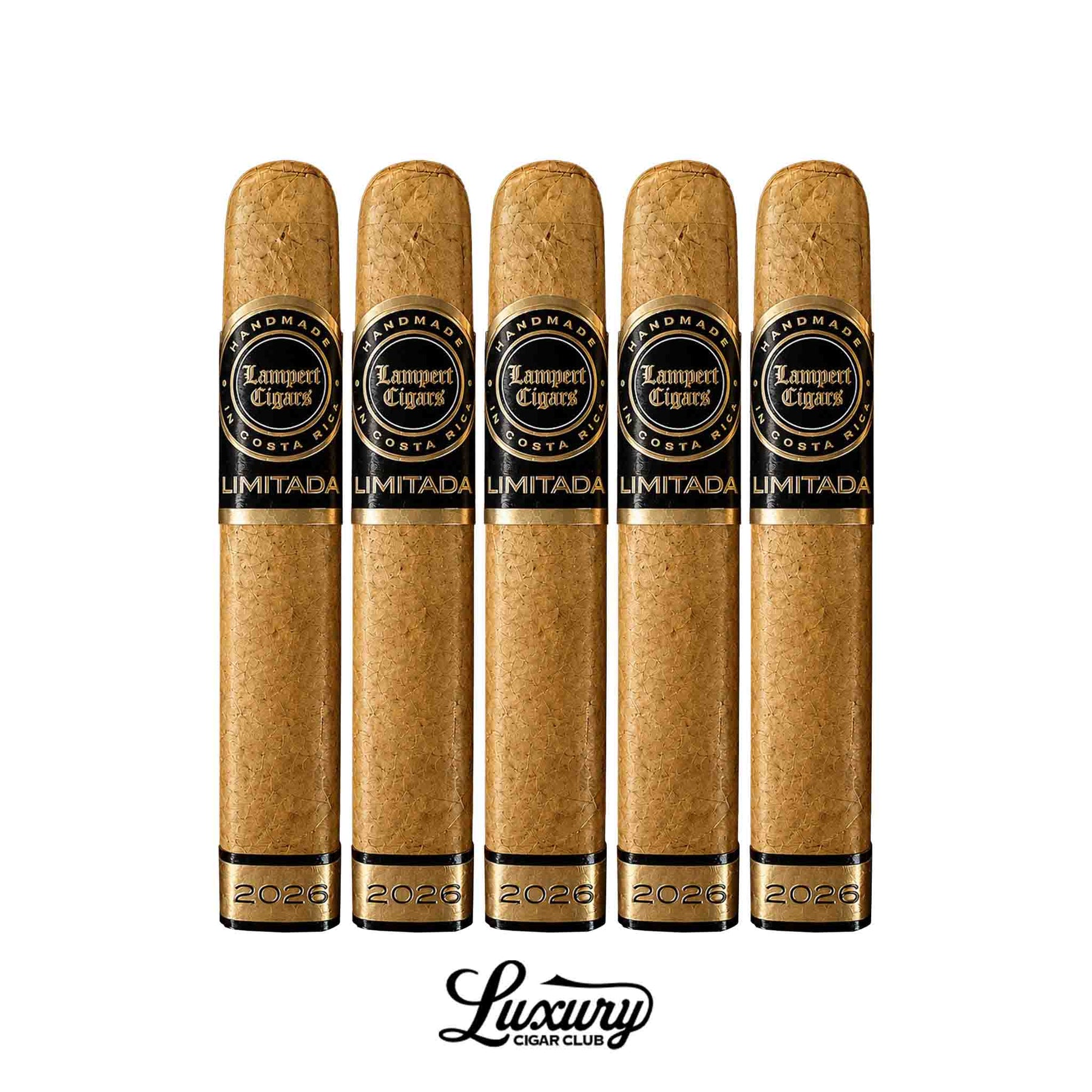 Lampert Limitada 2026