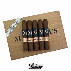 Luciano Mas Igneus
