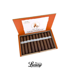 MBombay M.Esteli