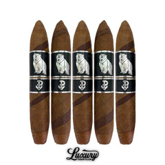 Powstanie Wojtek War Bear 2025 Limited Edition