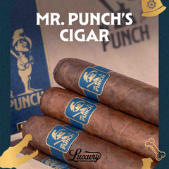 Punch Mr. Punch