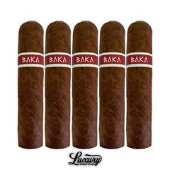 RoMa Craft BAKA