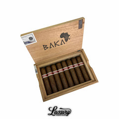 RoMa Craft BAKA
