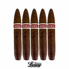 RoMa Craft BAKA