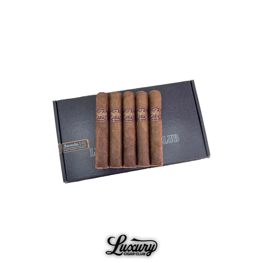 Room 101 Big Payback Sumatra