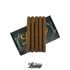 SP1014 Gas Station Sushi Habano by Sanj Patel