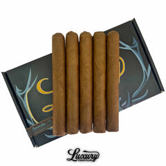 SP1014 Gas Station Sushi Habano by Sanj Patel
