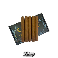 SP1014 Gas Station Sushi Habano by Sanj Patel