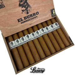 Sinistro El Burro Connecticut