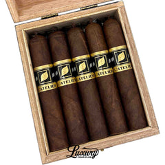 Tatuaje L'Atelier Selection Spéciale