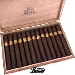 Venture 1492 San Andres
