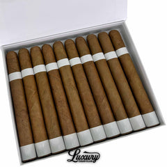 Vicente Blends Sleek White