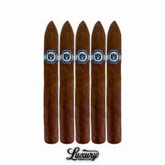 Warped El Oso Limited Edition 2025