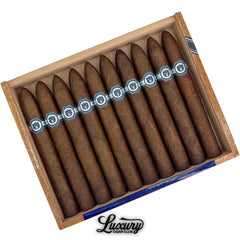 Warped El Oso Limited Edition 2025