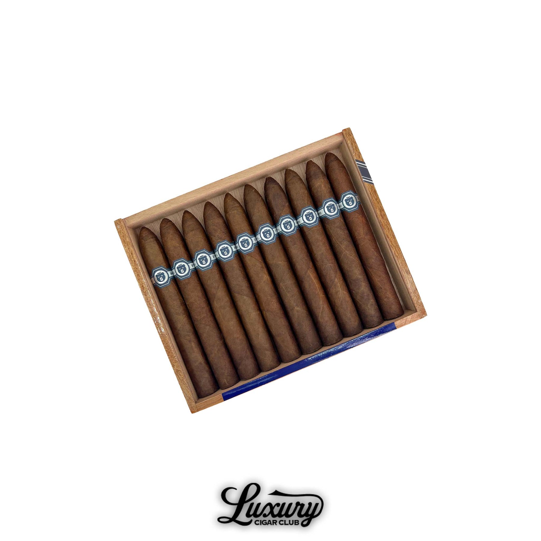 Warped El Oso Limited Edition 2025