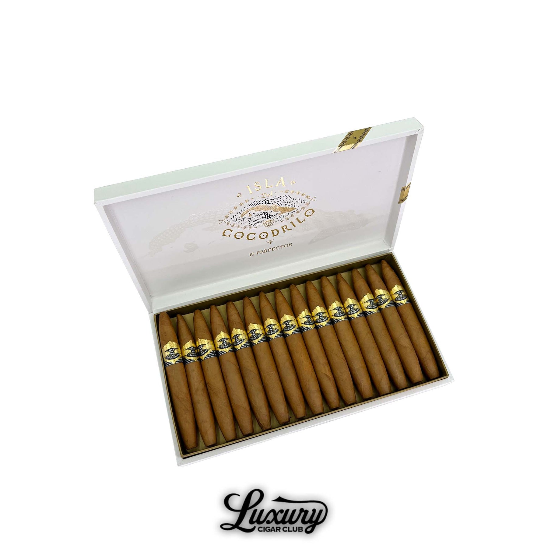 Warped Isla Del Cocodrilo Blanco