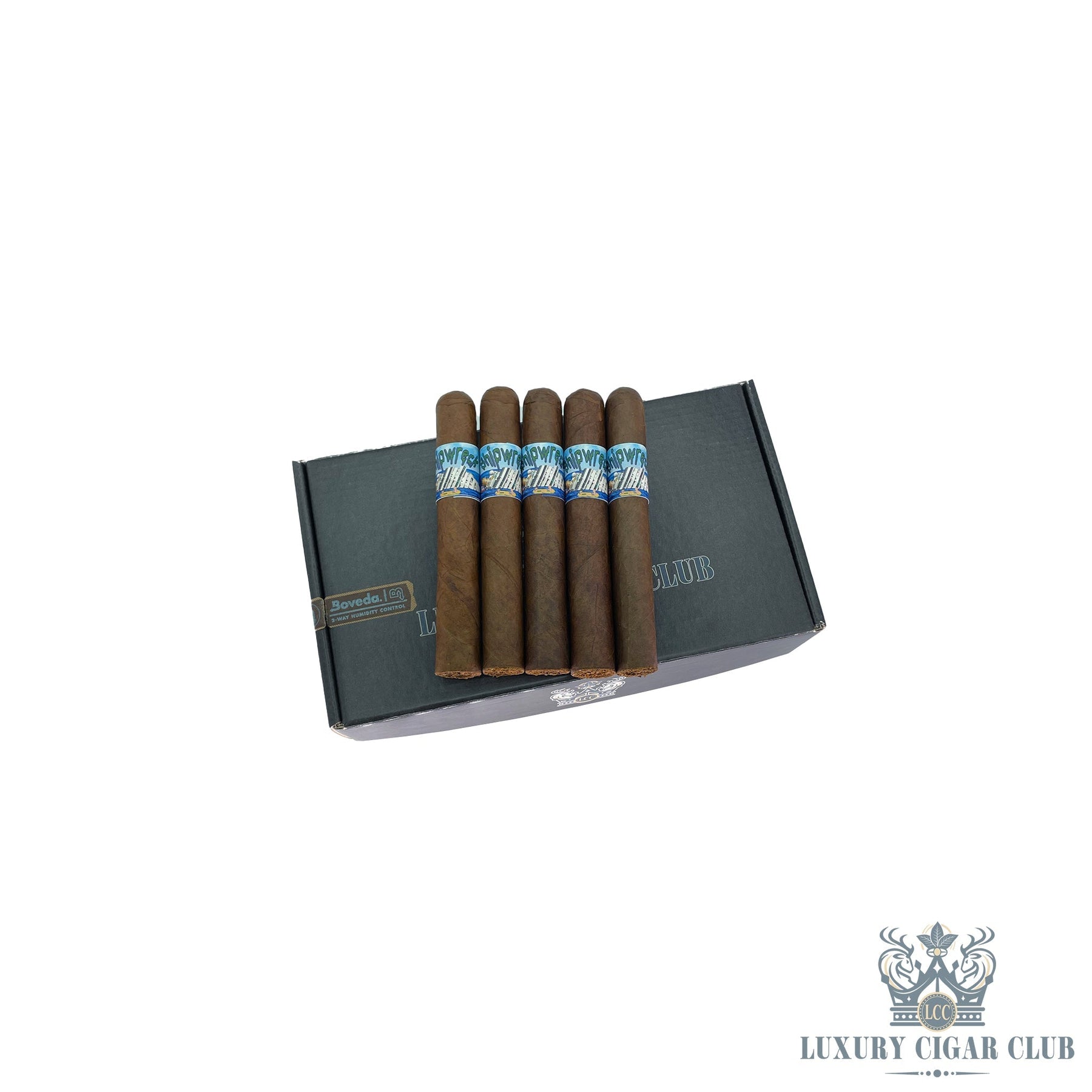 LCC Discord Exclusive: Shipwreck