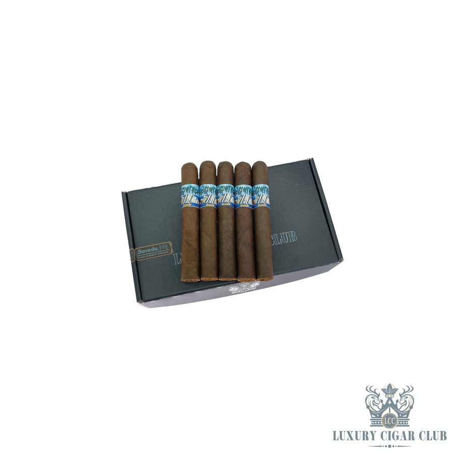 LCC Discord Exclusive: Shipwreck