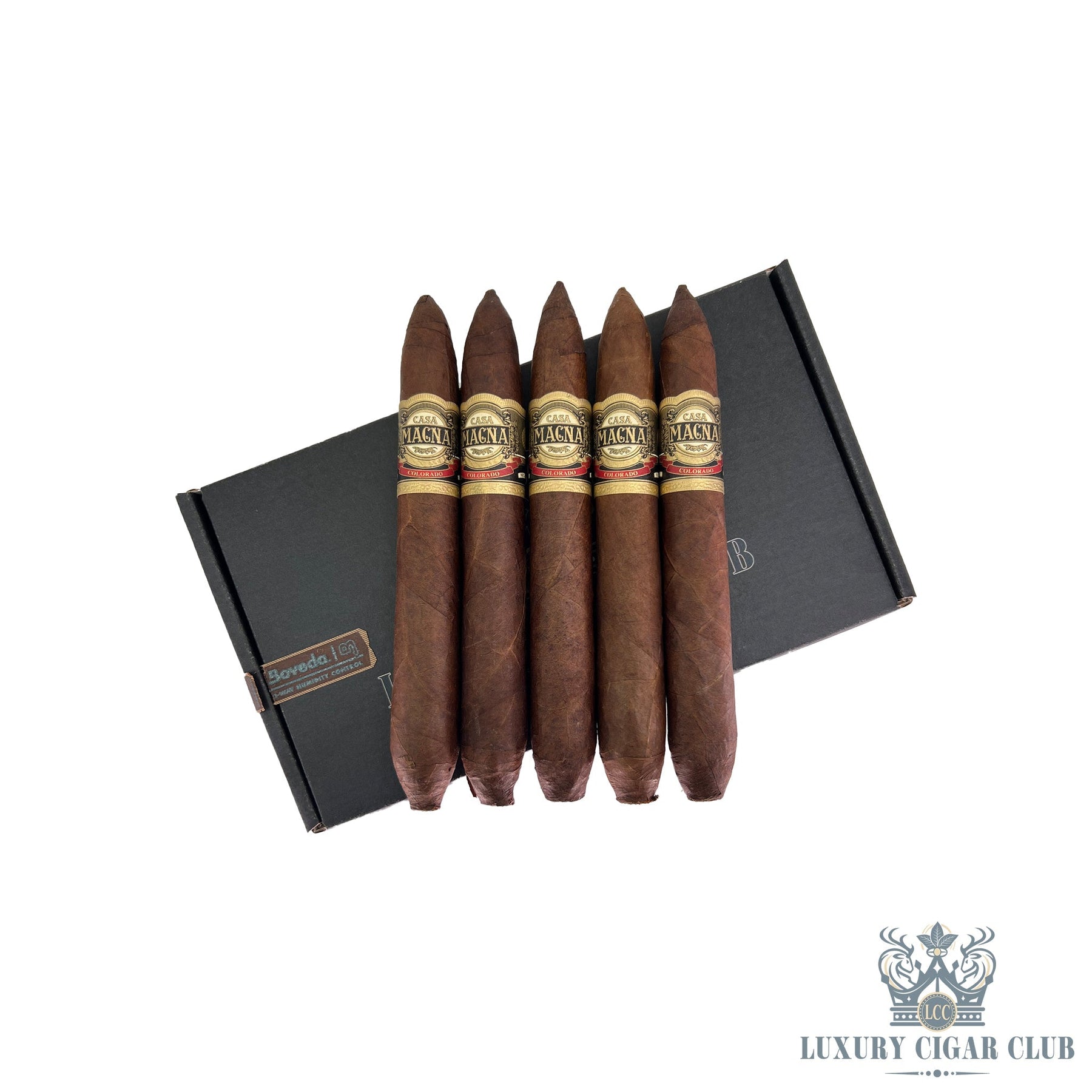 Quesada Casa Magna Colorado Aged 8 Years